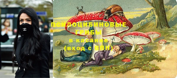 не бодяженный Вяземский