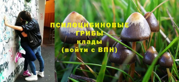ешки Вязьма