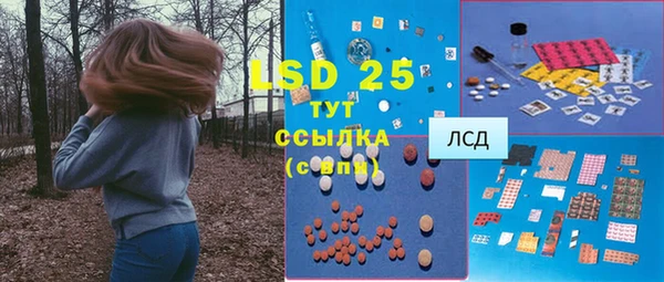 ешки Вязьма