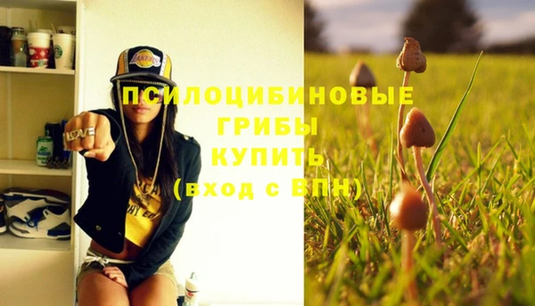 не бодяженный Вяземский