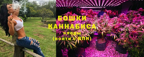 ешки Вязьма