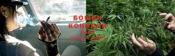 ешки Вязьма
