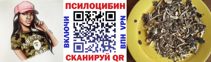 Галлюциногенные грибы Psilocybe  KRAKEN ТОР  Таганрог  купить  