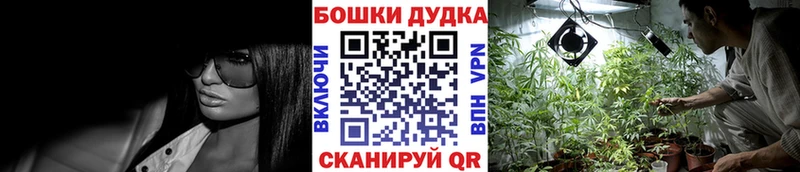 Бошки марихуана Bruce Banner  наркошоп  Таганрог 